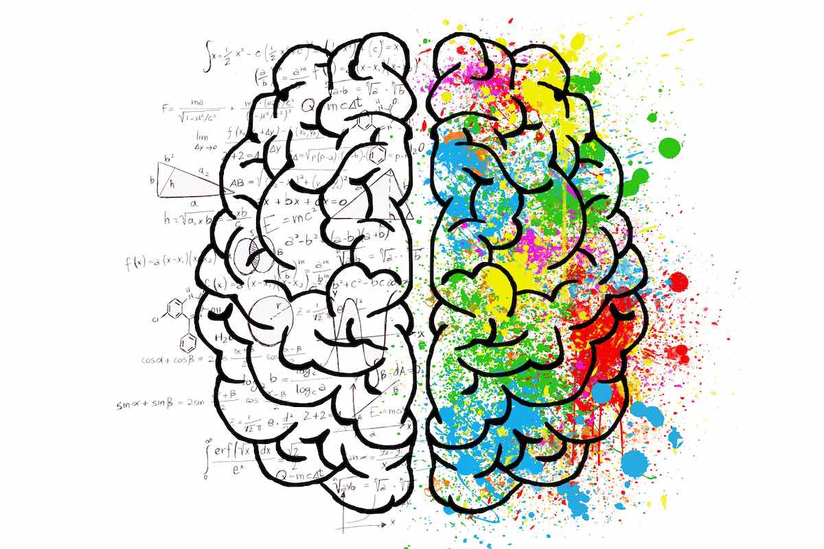 La neuroeducación contribuye a disminuir la brecha entre las investigaciones neurocientíficas y la práctica pedagógica.